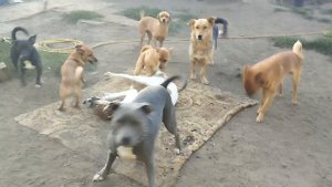 Друзья! Снова обращаемся к вам за помощью!
Новый месяц, опять надо платить за электроэнергию и снова