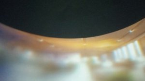 Музеон.Форум 2030 в 2025 году