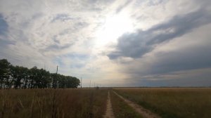 Колокола осени.😊