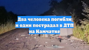 Два человека погибли и один пострадал в ДТП на Камчатке