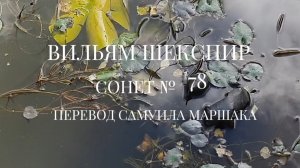 Вильям Шекспир. Сонет № 78. Пер. Самуила Яковлевича Маршака (Тебя я музой называл своею)