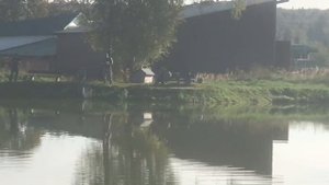 поимка осетра на малом водоёме