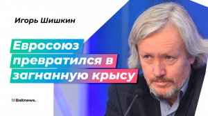 Старая Европа хочет избежать краха за счет России