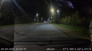 Лось. Чебоксары. 4 сентября 2025.