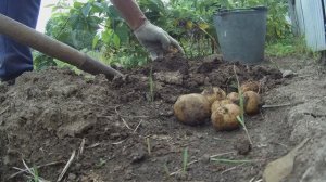 6 соток 6 сентября.