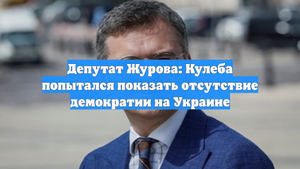 Депутат Журова: Кулеба попытался показать отсутствие демократии на Украине