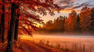 Autumn dawn