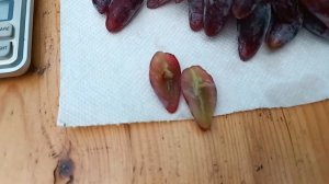 г.ф. Дубовский розовый Гусева С.Э. на 08.09.2025 года