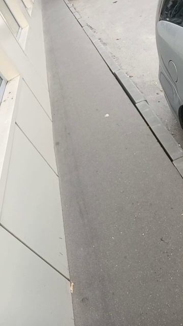 На что тратятся наши налоги? Отмывание денег, или осваивание бюджета? смотреть онлайн