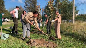 Яблоневая аллея. ТК «Первый Советский»