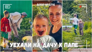 Выходные на даче у папы -  ВЛОГ №3716 - 06-07.09.25