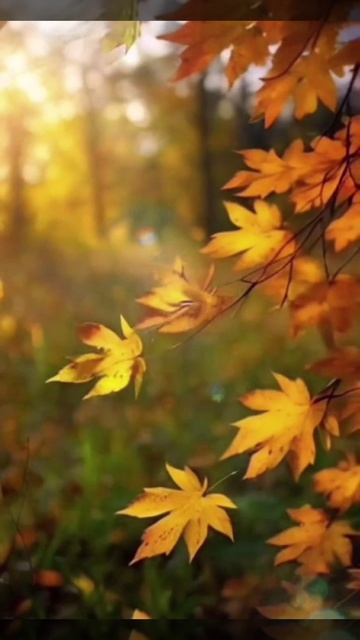 Осенний танец листьев #shorts