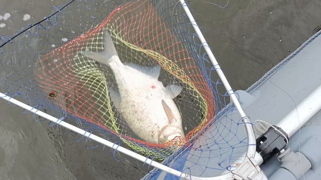 1000217453.mp4 смотреть онлайн