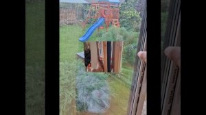 1000034013.mp4 (Собака наблюдает за устройством откосов у дверного проёма в доме А-фрейм)