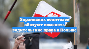 Украинских водителей обязуют поменять водительские права в Польше