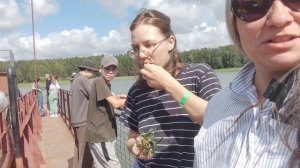 Погрузка на паром...