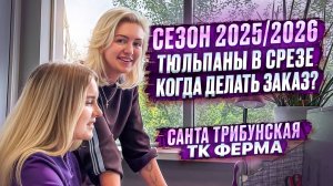 СЕЗОН ТЮЛЬПАНОВ 2025/2026