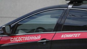 35 ножевых: стали известны подробности убийства девочки в отеле в Петербурге