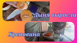 Дыня.Хреновина за зиму👍