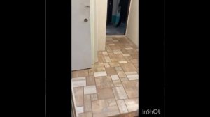 1ка, Проспект Победы. Можно с ребенком и небольшим животным. Офиц договор. +79787003279