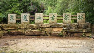 Специалисты предложили новые подходы к защите всемирного наследия в Китае