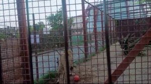 Шархан Спокойной ночи 08.09.2025