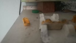 VID_20250908_175031.mp4