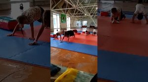 тренировка