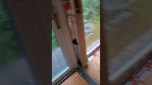 1000033991.mp4 (Собака наблюдает за устройством откосов у дверного проёма в доме А-фрейм)