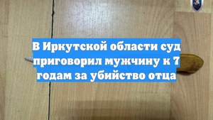 В Иркутской области суд приговорил мужчину к 7 годам за убийство отца