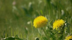 Лето часть 2