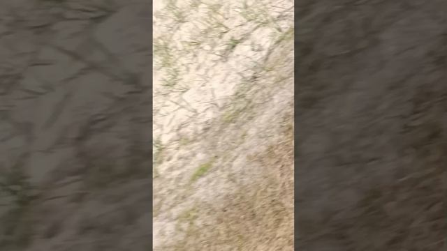 пенная вечеринка смотреть онлайн