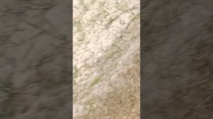 пенная вечеринка