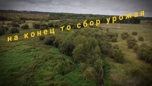 Без конечные поля