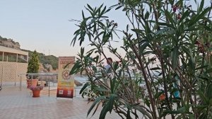 Отель Бухта мечты июль 2025. Кавер группа.