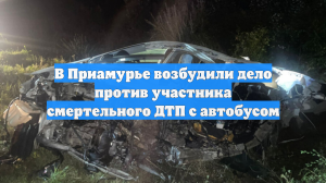В Приамурье возбудили дело против участника смертельного ДТП с автобусом