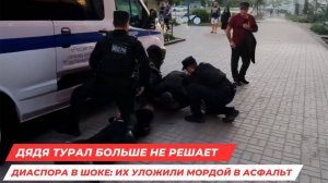 МОРДОЙ В ПОЛ: В Питере Диаспору уложили лицом в грязь