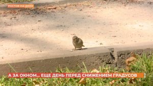 А за окном. 8 сентября 2025