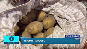 Лукашенко привез в подарок лидерам ШОС