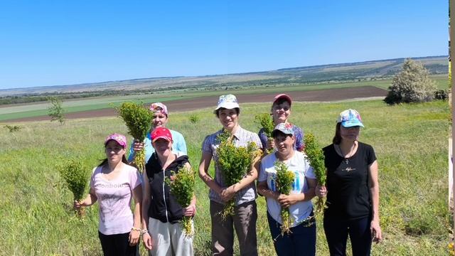 аромамешочки смотреть онлайн