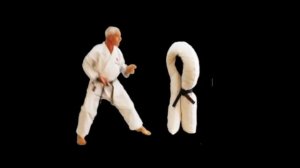 Подушка ESPERA.