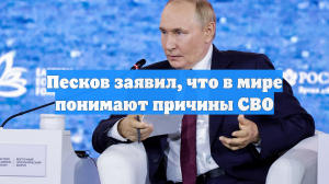 Песков заявил, что в мире понимают причины СВО