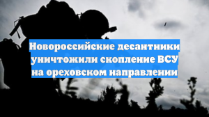 Новороссийские десантники уничтожили скопление ВСУ на ореховском направлении