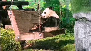 🐼 Наша сладенькая Катюша знает толк в правильном распорядке дня! 🌙
