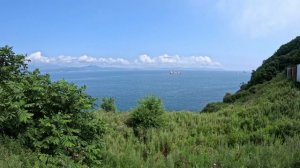 2025 Находка видовые