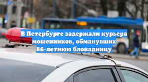 В Петербурге задержали курьера мошенников, обманувших 86-летнюю блокадницу