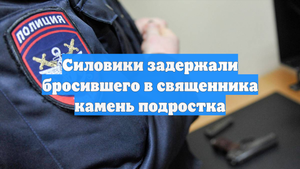 Силовики задержали бросившего в священника камень подростка