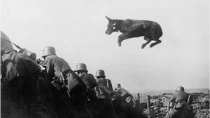 ОРУЖИЕ  В  РОБЛОКС 2