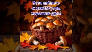 хорошего настроения и осеннего тёплого дня