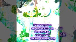 Утренние ритуалы.